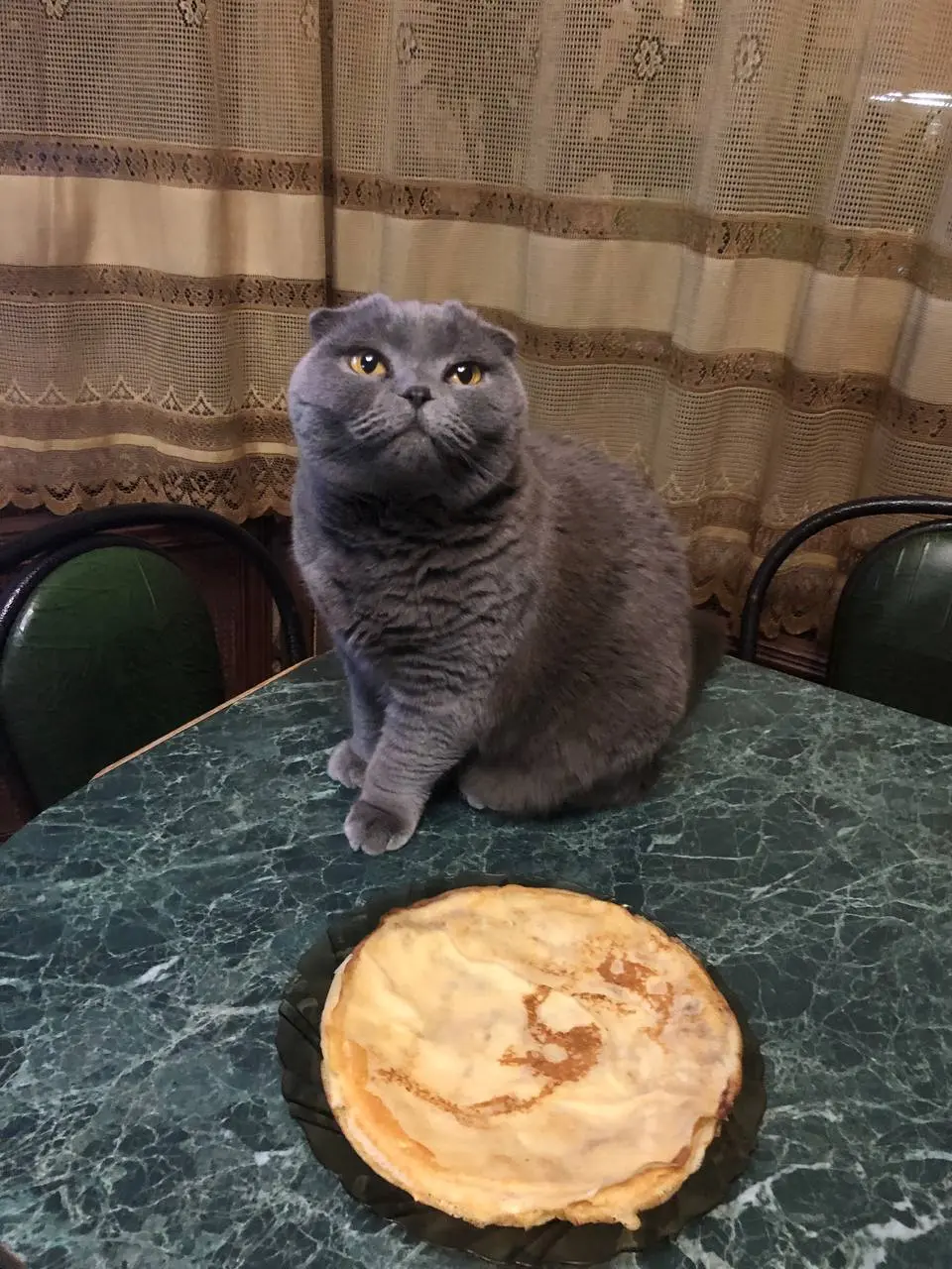 С масленицей чтоли 🥞
Еле-еле , немного , но напекла🤣 тоже хочется почувствовать масленицу, хоть и дома с простудой.
Кстати крутила по-новому рецепту 🙌🏻 | Сетка — социальная сеть от hh.ru