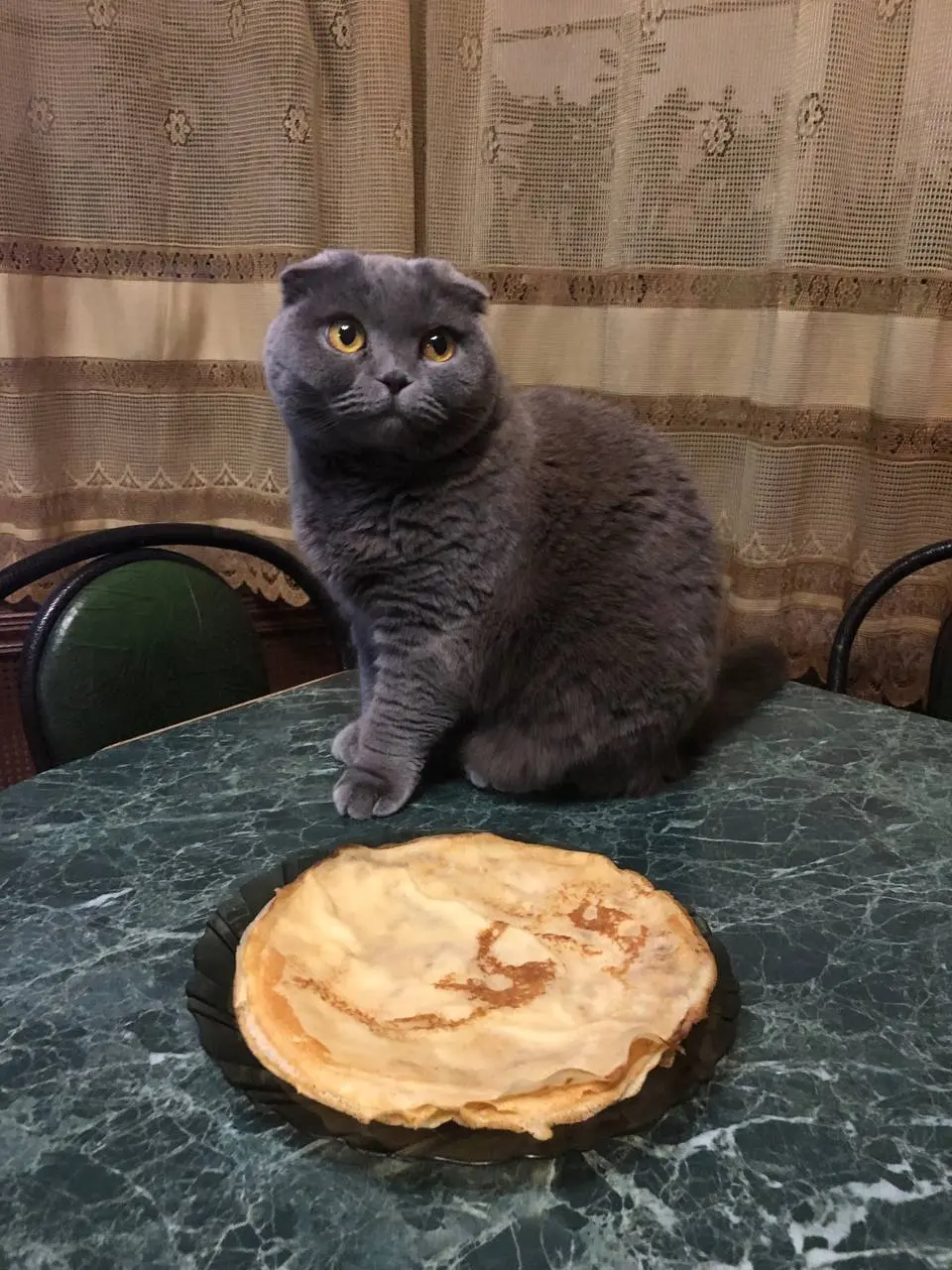 С масленицей чтоли 🥞
Еле-еле , немного , но напекла🤣 тоже хочется почувствовать масленицу, хоть и дома с простудой.
Кстати крутила по-новому рецепту 🙌🏻 | Сетка — социальная сеть от hh.ru