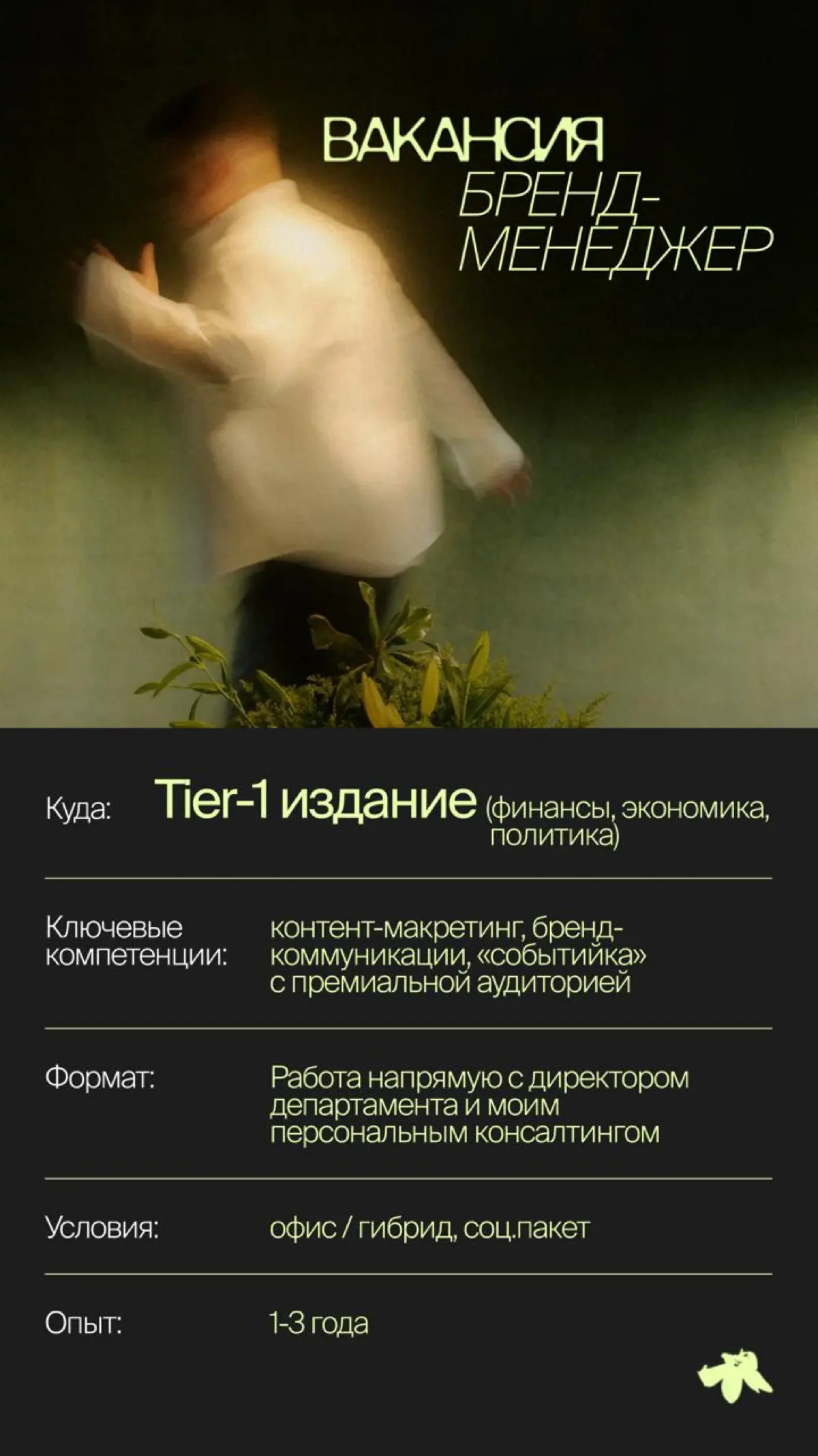 Бренд-мендежер в Tier-1 СМИ | Сетка — социальная сеть от hh.ru
