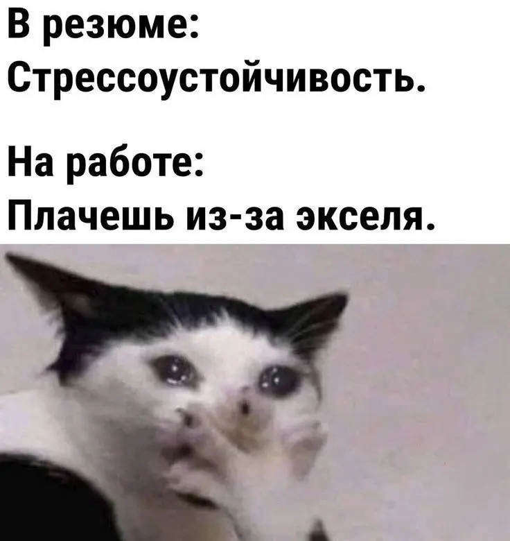 Мы? | Сетка — социальная сеть от hh.ru