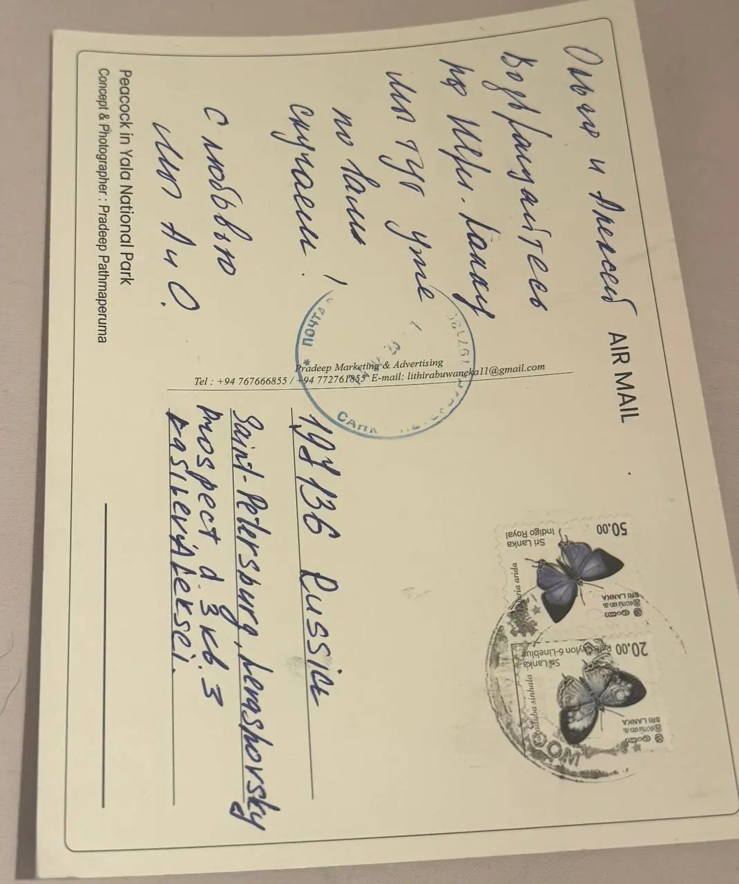 ✨ Пятничное. Про открытки, воспоминания и неожиданные выводы
Вчера получила открытку со Шри-Ланки.
Отправила её нам с мужем 31 января —
и вот она дошла. Всего 19 дней в пути | Сетка — социальная сеть от hh.ru