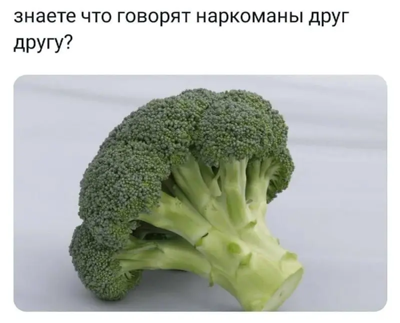 Касатики и касатицы!Очередная пятница, очередные мемы.
Зачем нужен полезный контент, когда можно просто постить мемы? Ну, вот и я так думаю. | Сетка — социальная сеть от hh.ru