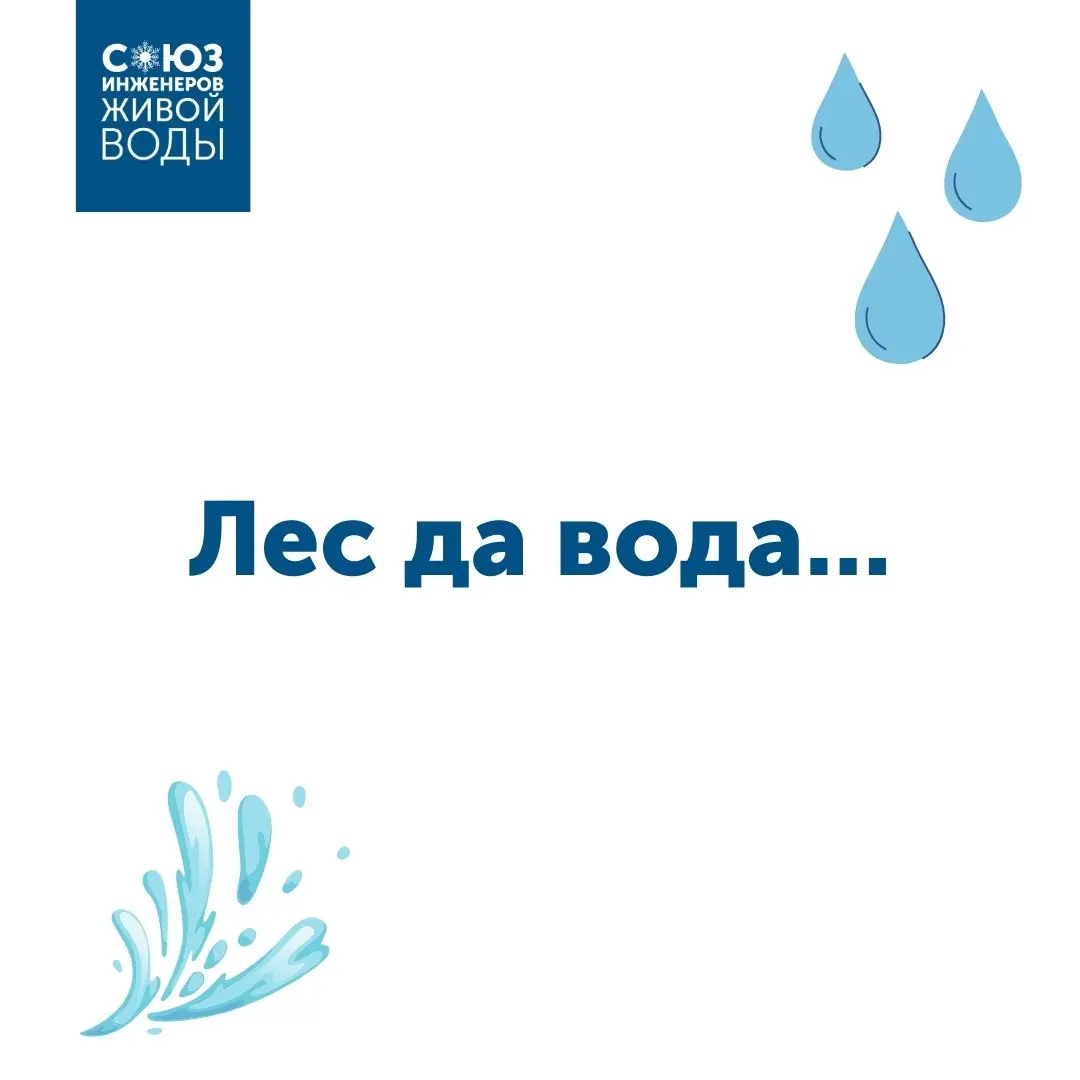 Всех с Масленицей!
В этом году она необычно ранняя, но раз есть, празднуем, печем блины и настраиваемся на весну.
Масленица — это традиции | Сетка — социальная сеть от hh.ru