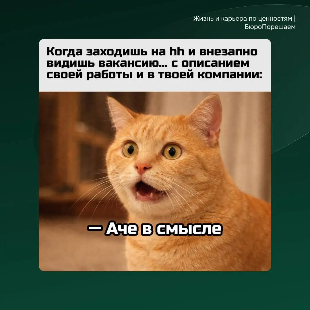 Ждём вас в комментариях🤓
#мемнаяпятница | Сетка — социальная сеть от hh.ru