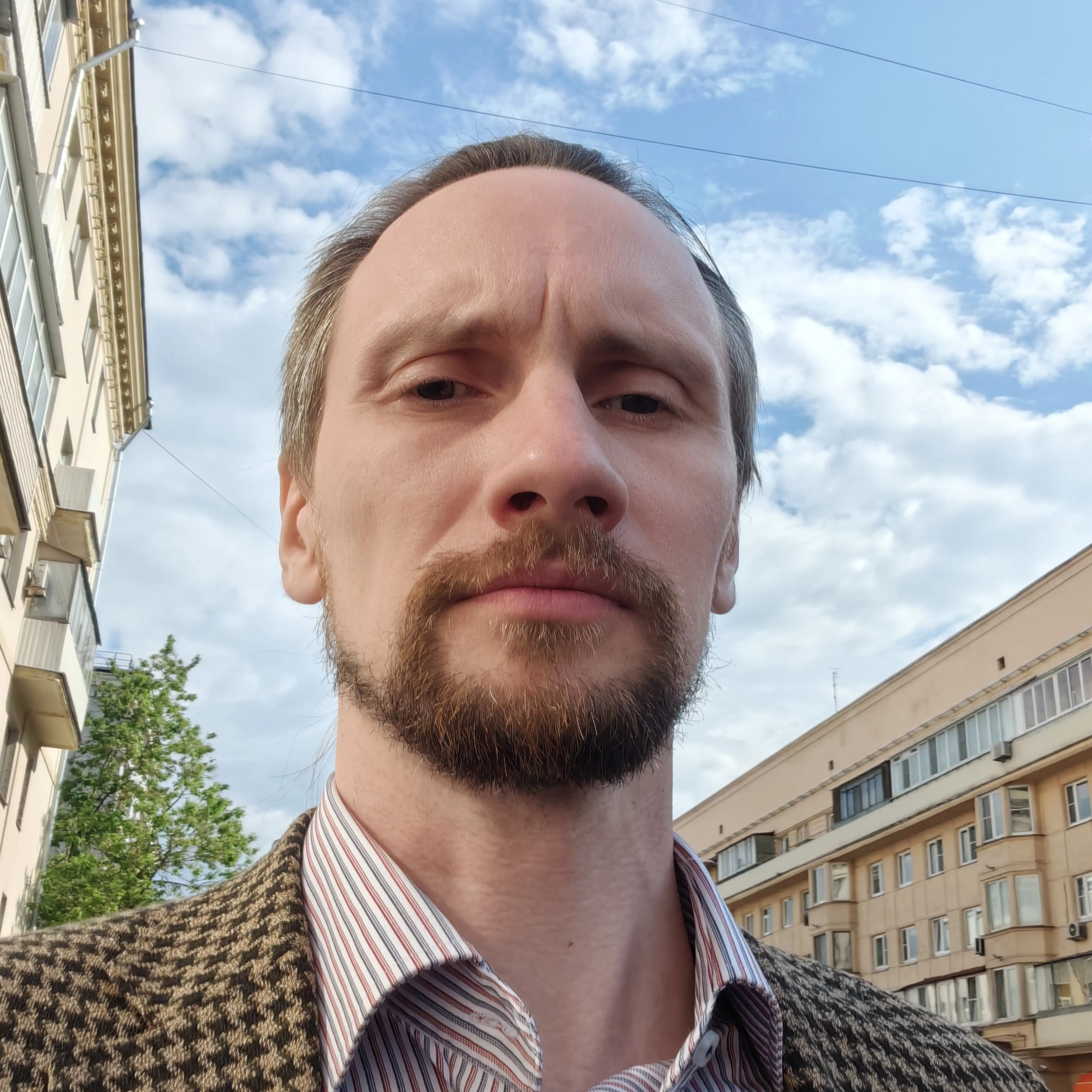 profile avatar
