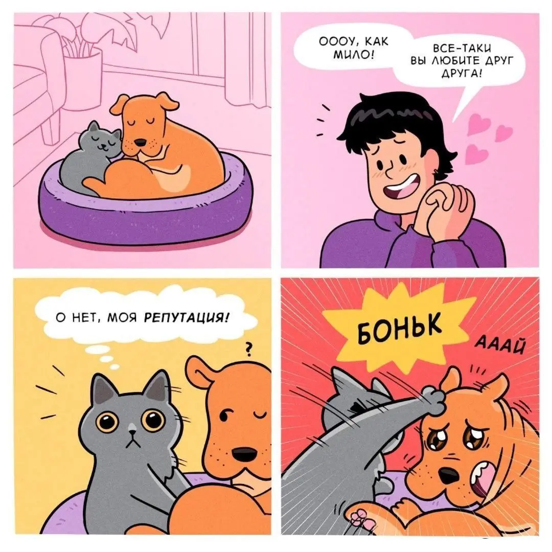 Репутация наше все 😂😂😂
#Юмор@poldner #Коты@poldner
#Собака@poldner | Сетка — социальная сеть от hh.ru