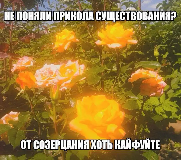 🐚🐚 Бренд-дизайн. Сверка: ревью со стратегом проекта. Критерии оценки дизайна
В субъективной сфере дизайна, особенно когда нет стратегии, оценка часто сводится к «нравится — не нравится» | Сетка — социальная сеть от hh.ru