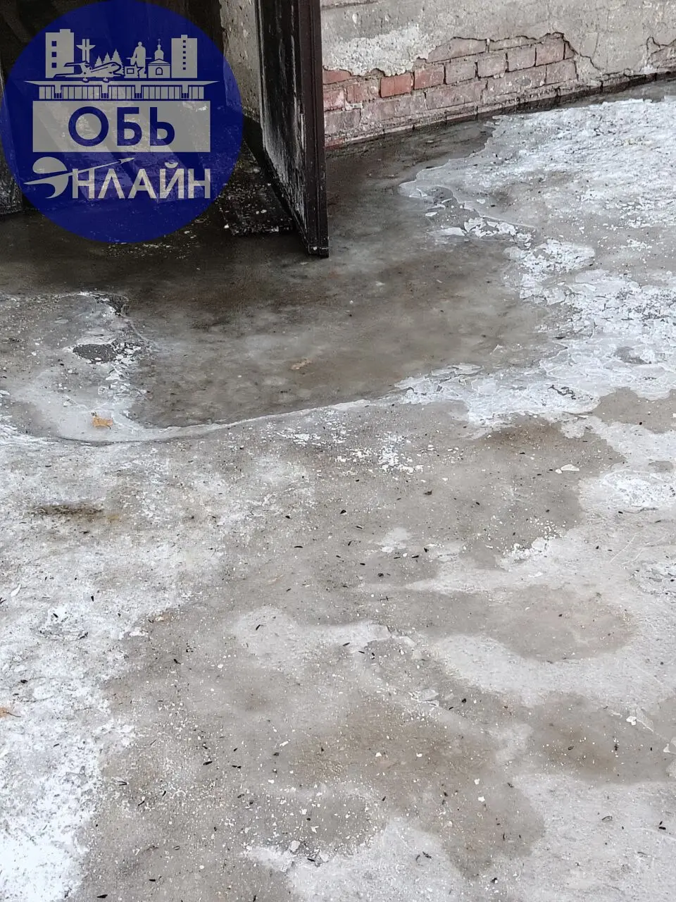 ↗ Добрый вечер! Хотя какой там добрый! Вот в таком виде первый подъезд общежития по адресу Железнодорожная 18, находится уже пол года, фикальные массы текут рекой! А сегодня подвёл и водопровод вода з... | Сетка — социальная сеть от hh.ru