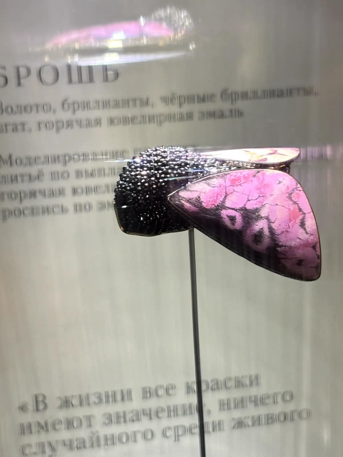 На свет из темноты, выставка | Сетка — социальная сеть от hh.ru
