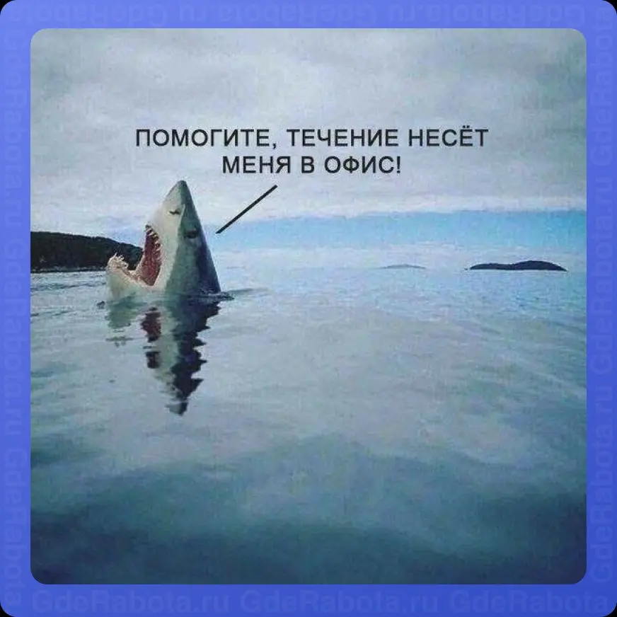 Все мы в какой-то степени захлёбываемся в работе 😒
Все вакансии -> https://gderabota.ru/вакансии
#работа #GdeRabota #hr #вакансии | Сетка — социальная сеть от hh.ru