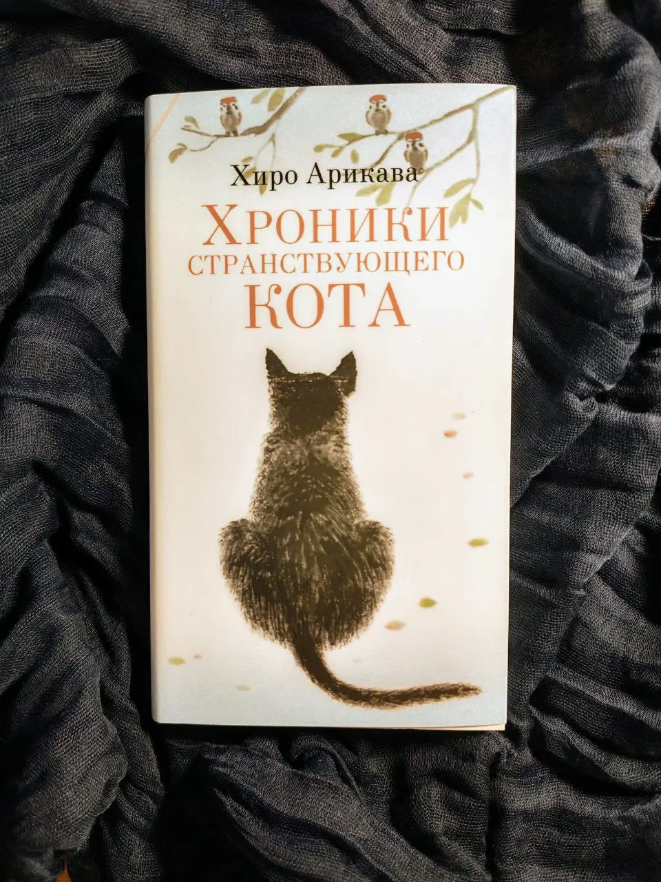 День кошек в Японии
"Хроники странствующего кота" – бестселлер японской писательницы Хиро Арикавы.
Это история дружбы кота Нана и его хозяина Сатору.
Без спойлеров | Сетка — социальная сеть от hh.ru