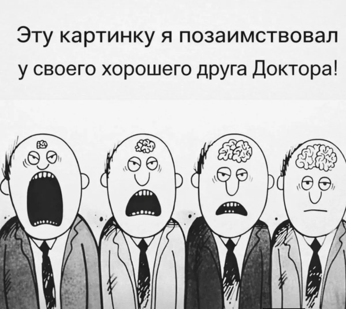 Дзен 🫶🏻 | Сетка — социальная сеть от hh.ru
