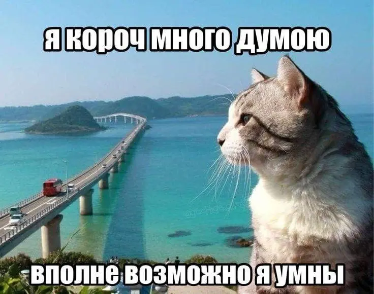 …но это не точно | Сетка — социальная сеть от hh.ru