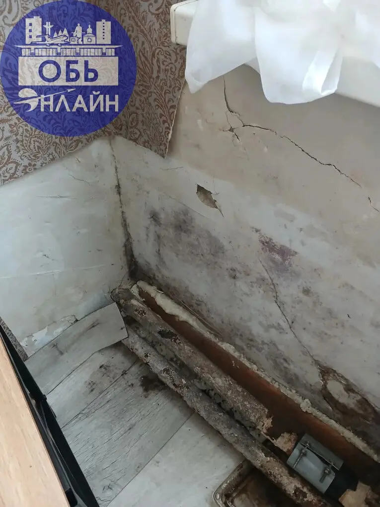 ↗ Это тоже самое Шевченко 13 !!!Только внутри дома и комнаты в одной из квартир!!!
vk.ru
Подробнее на https://vk.com/ob.gorod
#городобь #городобьонлайн #толмачево | Сетка — социальная сеть от hh.ru