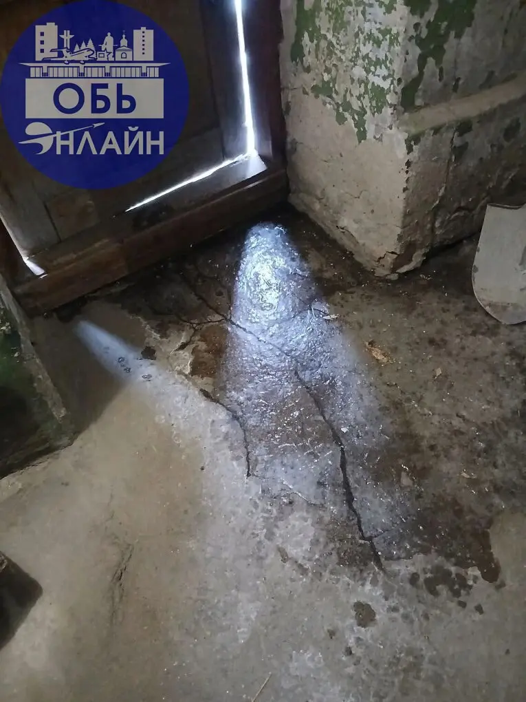↗ Это тоже самое Шевченко 13 !!!Только внутри дома и комнаты в одной из квартир!!!
vk.ru
Подробнее на https://vk.com/ob.gorod
#городобь #городобьонлайн #толмачево | Сетка — социальная сеть от hh.ru