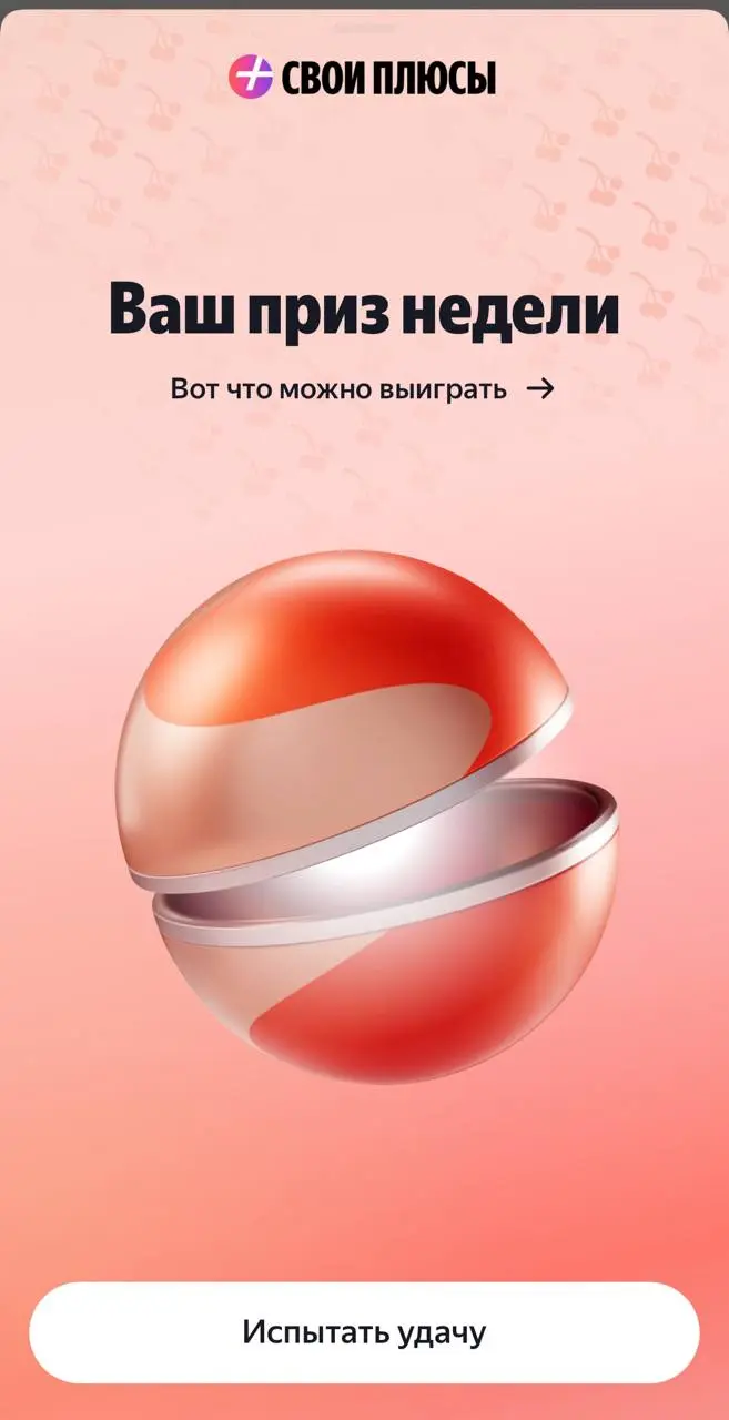 А вы видели эту красоту в Плюсе? | Сетка — социальная сеть от hh.ru