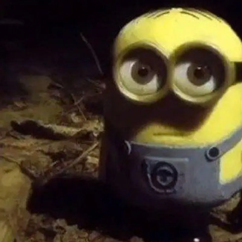 ало алр
