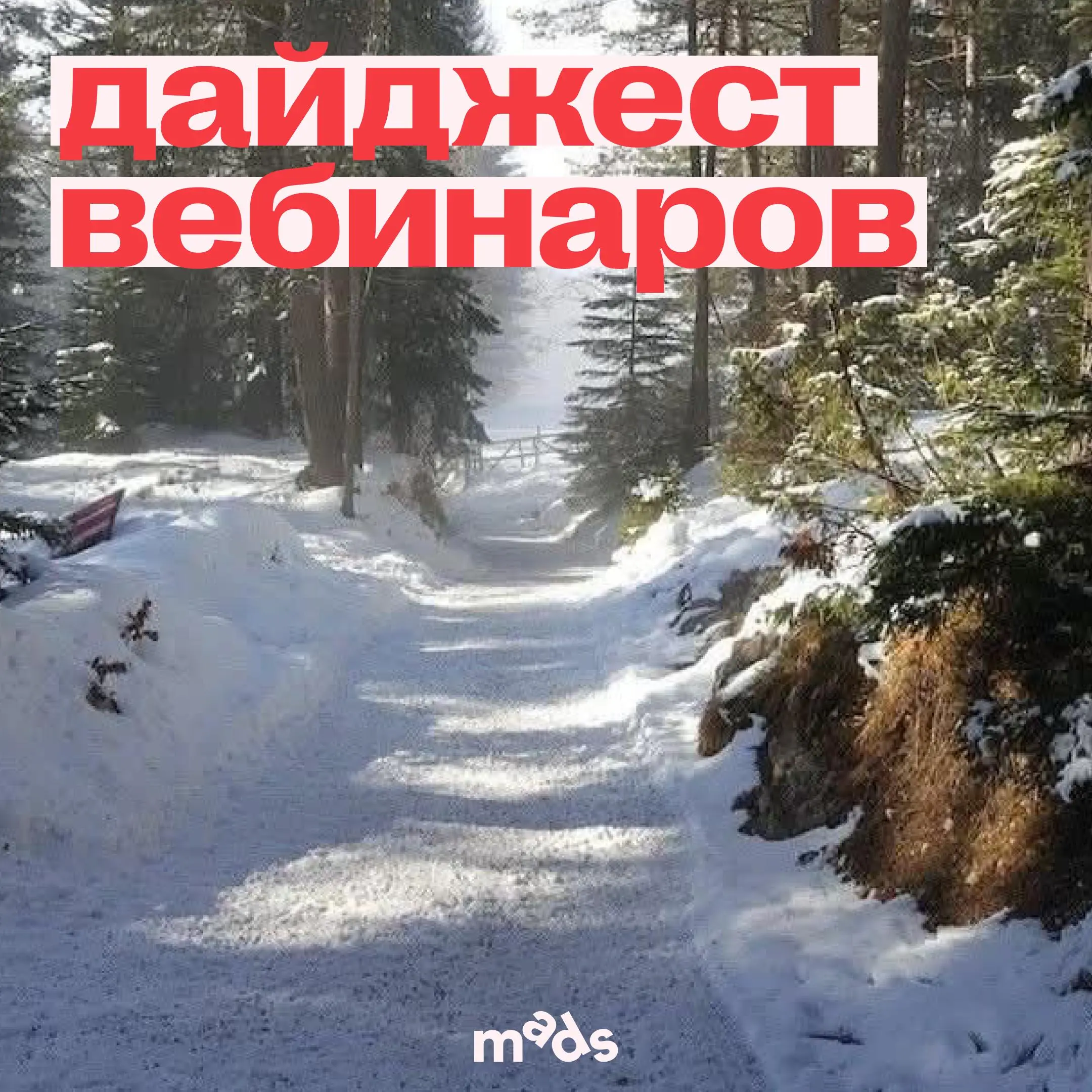 Открывай сообщение | Сетка — социальная сеть от hh.ru