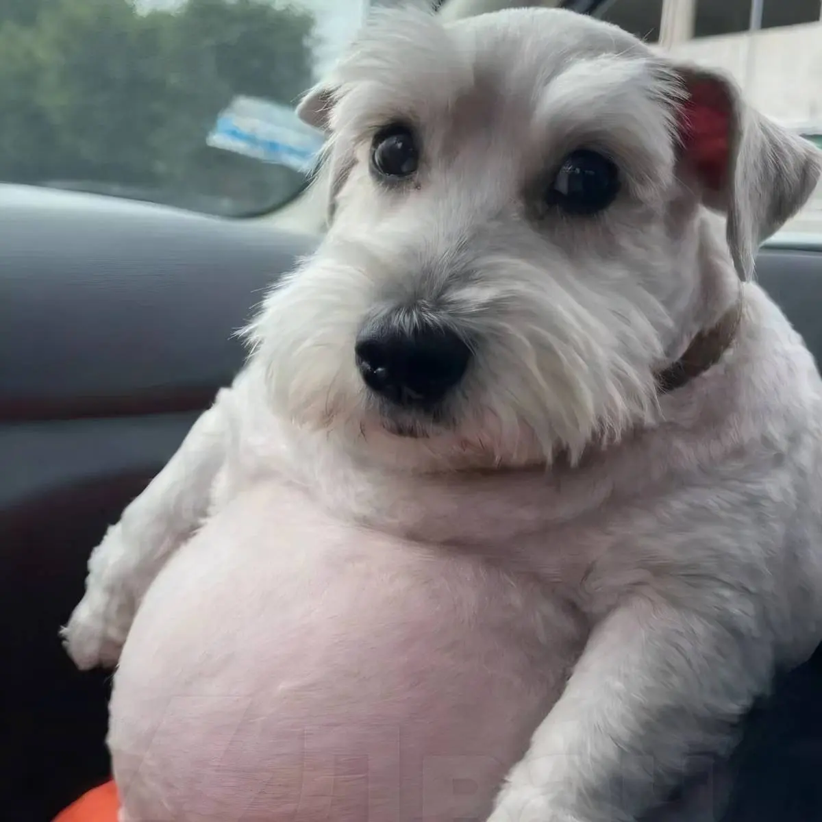 Егор Русаков