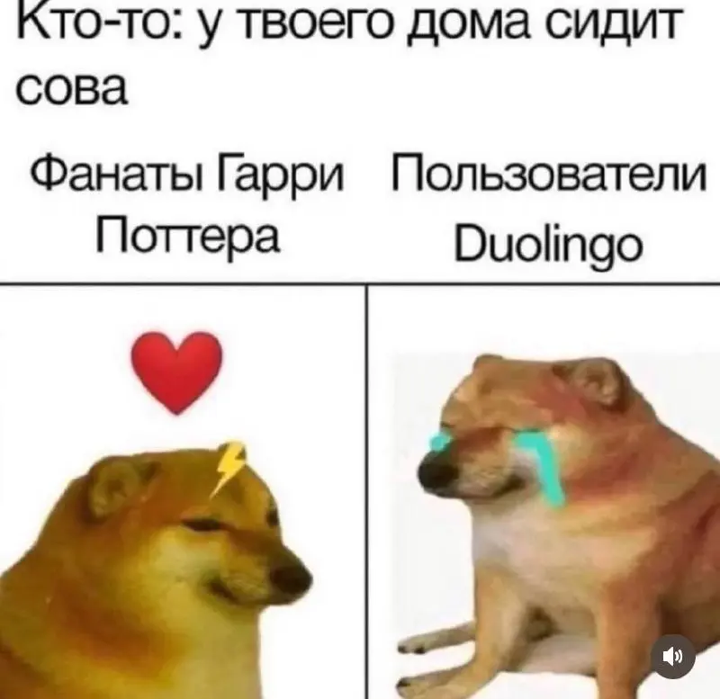 И легкая биполярочка, если понимаешь обе эти вселенные 😀 | Сетка — социальная сеть от hh.ru