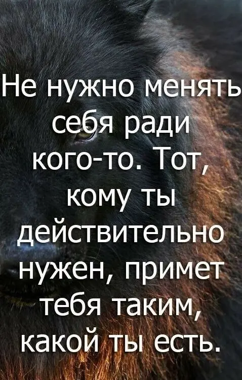 Это мои слова | Сетка — социальная сеть от hh.ru
