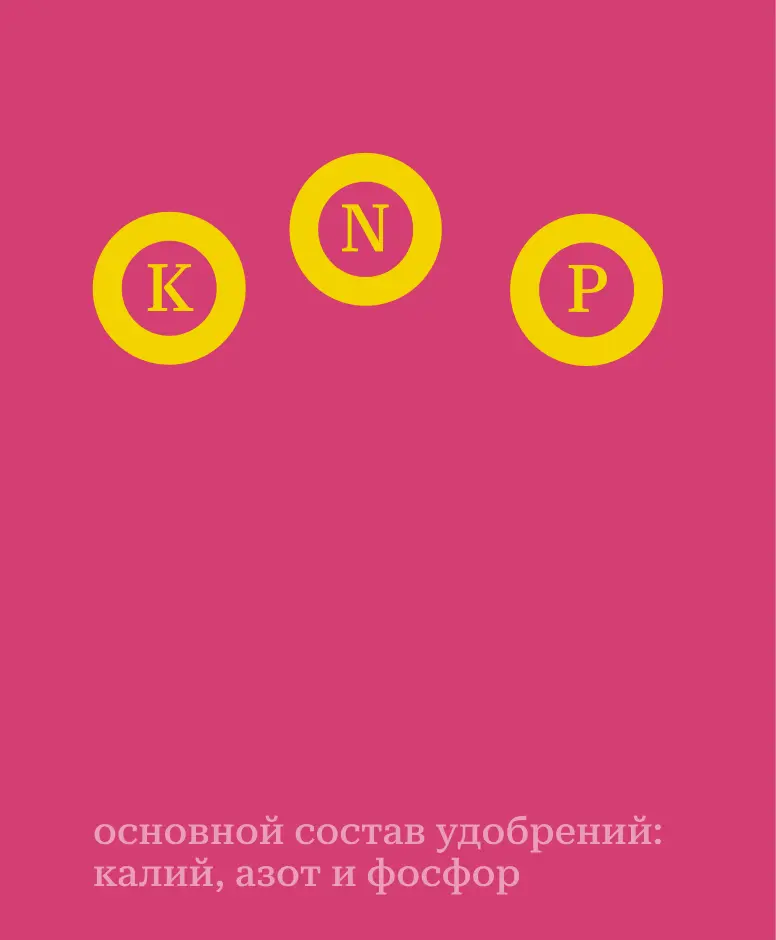 Религия и наука в одном проекте | Сетка — социальная сеть от hh.ru