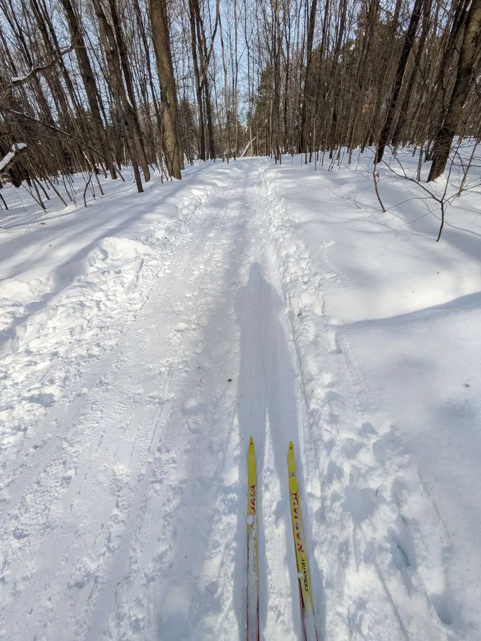🎿 Медленная vs быстрая лыжня
Эта зима в Москве просто рай для любого лыжника. Решил прокатиться и понаблюдать как у меня в лесопарке сложилась лыжня двух скоростей | Сетка — социальная сеть от hh.ru