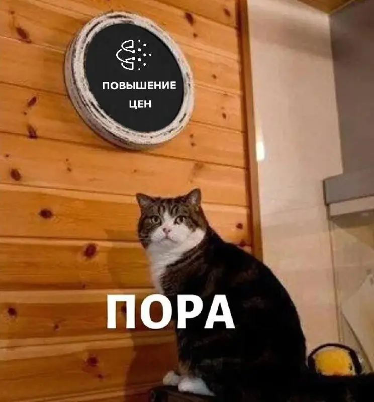 Есть такая фраза «нет лучшего времени, чем сейчас». И именно она хороший ответ на вопрос, когда стоит идти учиться руководителю | Сетка — социальная сеть от hh.ru