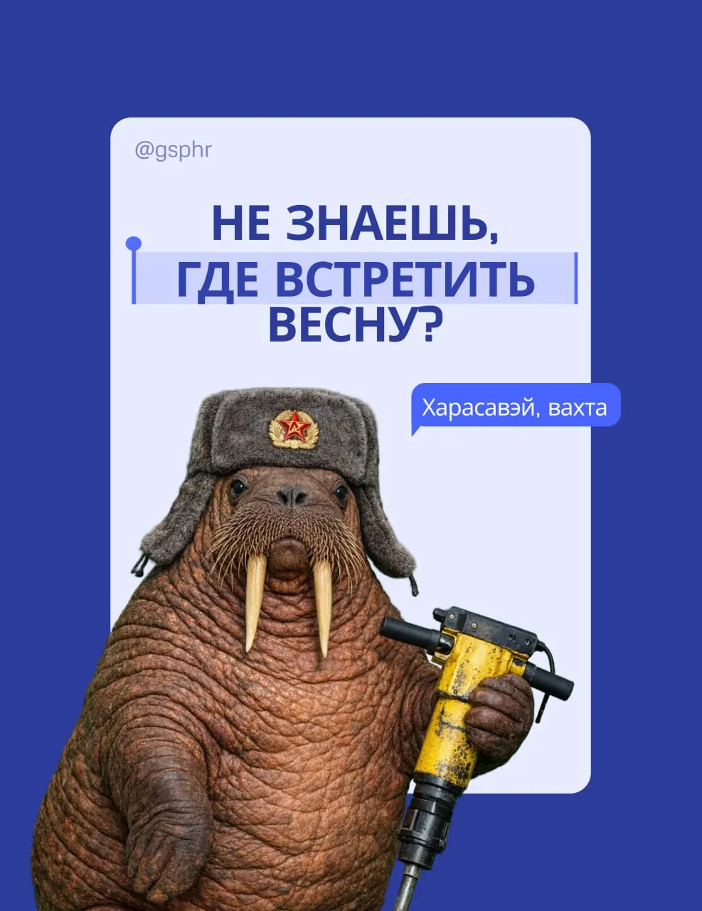 Поздравляем с Днём защитника Отечества!
Желаем мужского здоровья, уверенности в завтрашнем дне и побед — как профессиональных, так и личных 🇷🇺✨
Мы в ГСП знаем, что настоящие мужчины нужны не только в ... | Сетка — социальная сеть от hh.ru