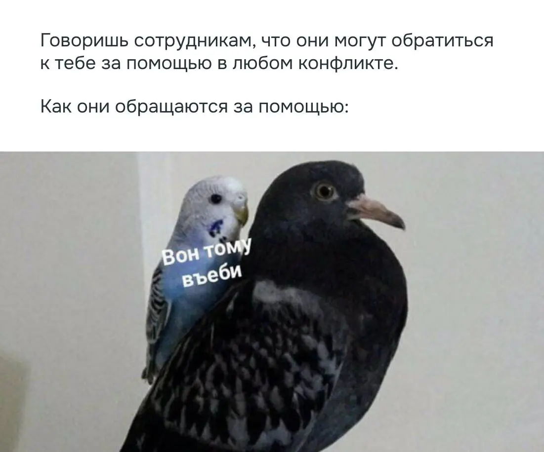 Как руководителю решать конфликты между подчинёнными | Сетка — социальная сеть от hh.ru