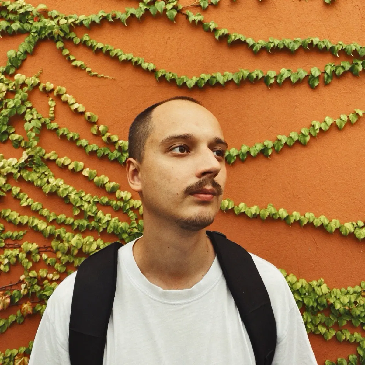 Александр Кравченко | Сетка — социальная сеть от hh.ru