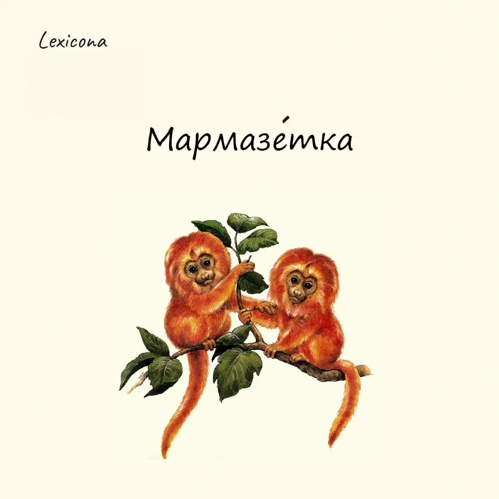 Мармазетка
В XVIII–XIX веках слово «мармазетка» в русском языке обозначало маленькую обезьянку или экзотическое животное, привезённое из дальних стран | Сетка — социальная сеть от hh.ru