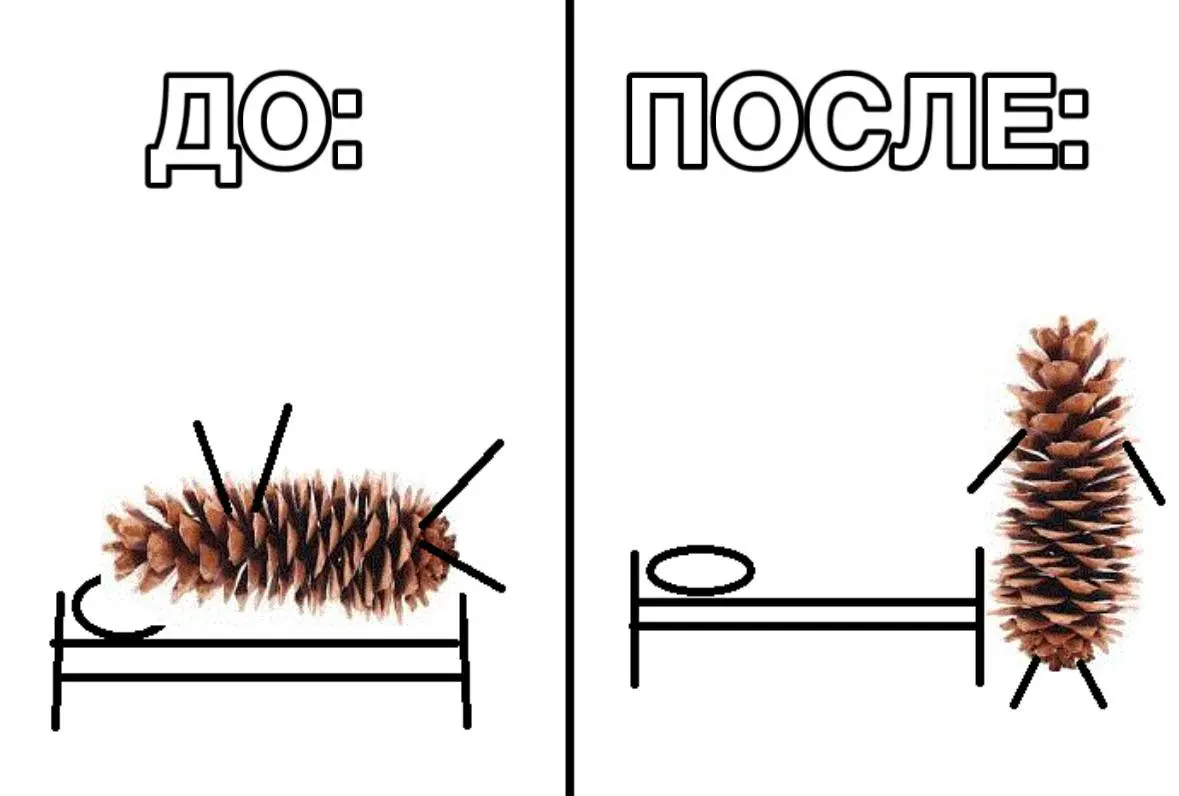 Кстати | Сетка — социальная сеть от hh.ru