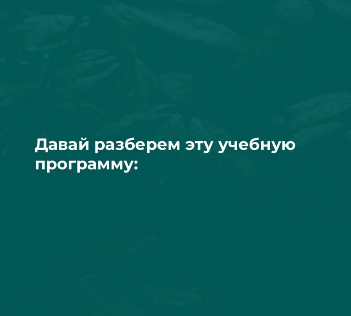 А ты усвоила урок? | Сетка — социальная сеть от hh.ru
