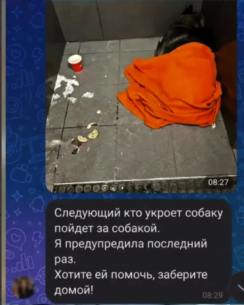 Всем доброго понедельника
Пока мы отдыхали, в Челябинске разгорелся скандал вокруг увольнения сотрудника «Додо Пиццы», который пожалел бездомную собаку | Сетка — социальная сеть от hh.ru
