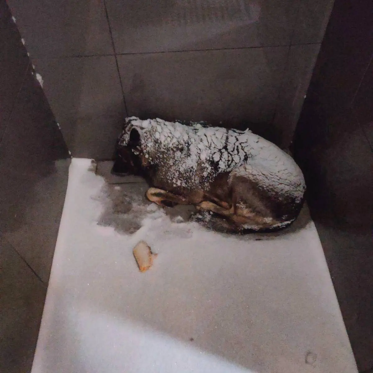 Кейс который войдёт в историю антипиара | Сетка — социальная сеть от hh.ru