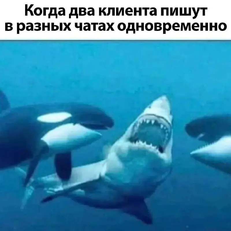 Один клик — и правки примут сразу. Пробуй! ✅ | Сетка — социальная сеть от hh.ru