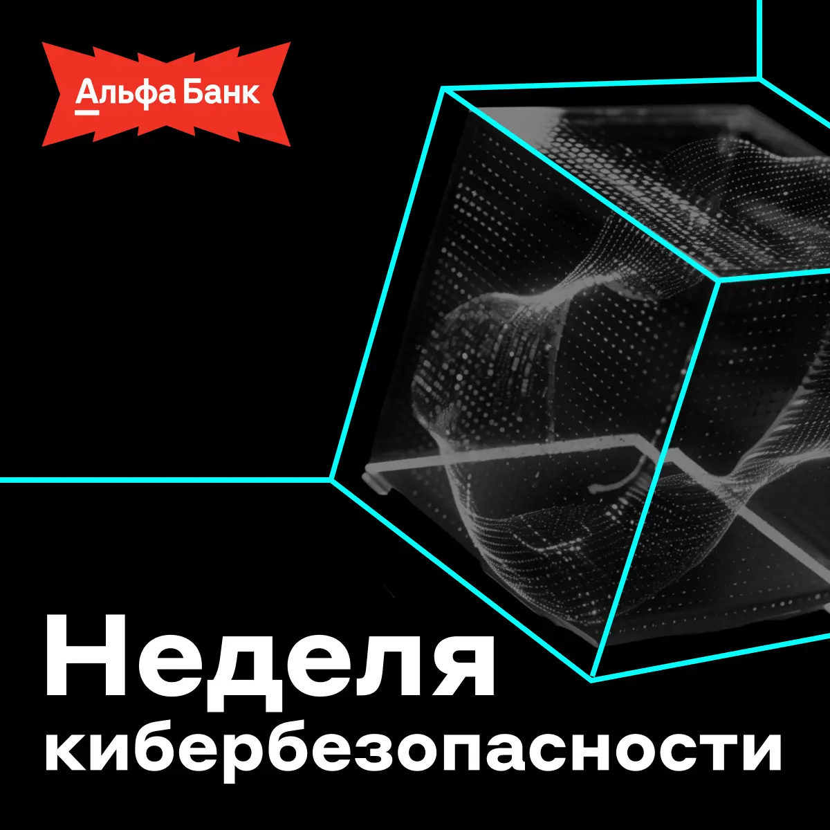 Неделя кибербезопасности с Альфа-Банком | Сетка — социальная сеть от hh.ru