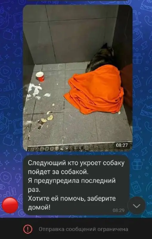 Доброта к псу = билет на улицу
Я всегда говорю, как мне нравится Додо пицца и Дринкит - для меня как для клиента, их индивидуальный подход и сервис очень нравятся | Сетка — социальная сеть от hh.ru