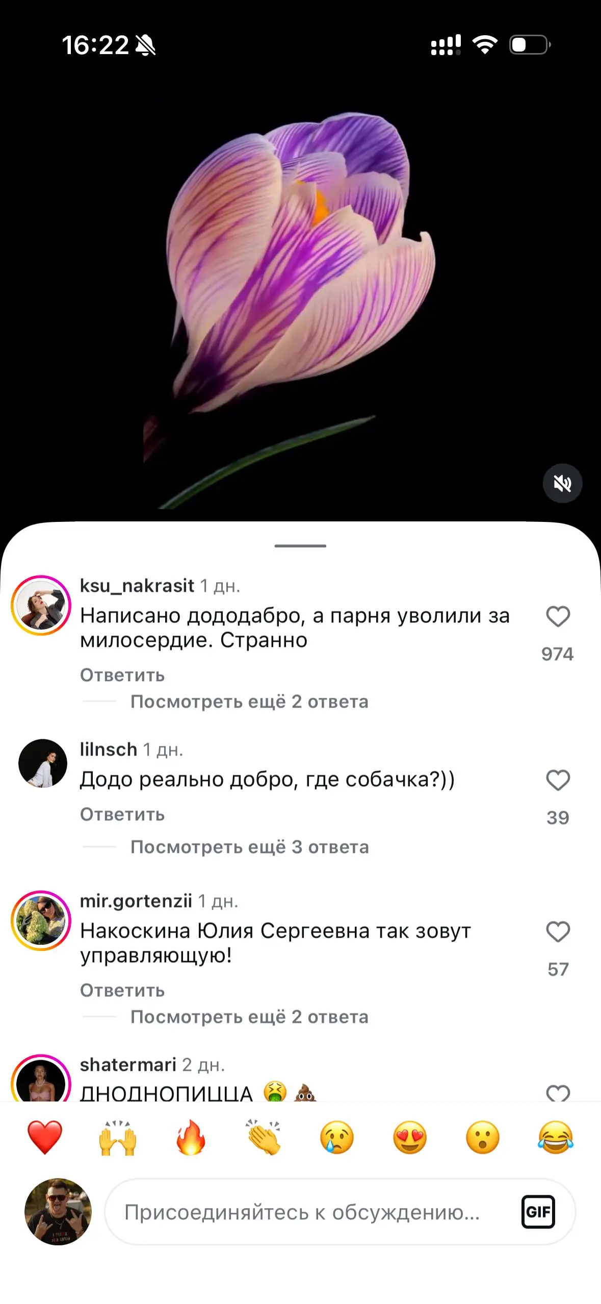 🔥 «Додо Пицца» попала под раздачу — и это не про соусы
Сеть Додо Пицца массово отменяют по всей России после скандала в Челябинске.
История простая и оттого ещё злее | Сетка — социальная сеть от hh.ru