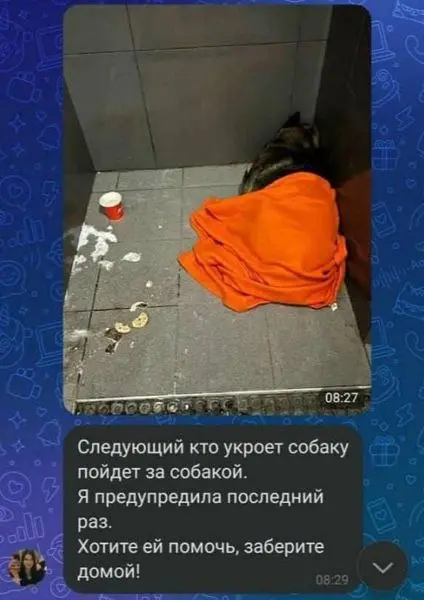 Галя, у нас отмена!
И сколько бы таких ситуаций не происходило, бизнес по-прежнему думает, что PR – пустой звук | Сетка — социальная сеть от hh.ru