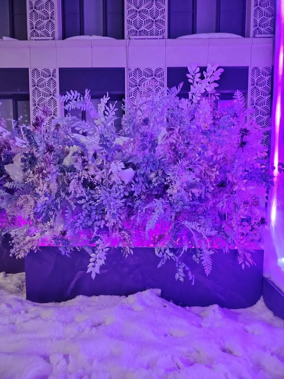 🌸 На Покровском бульваре расцвёл зимний сад
Замёрзшие цветы превратились в атмосферную инсталляцию
📲Подпишитесь на Вдвижении
#бесплатно
В этом посте были ссылки, но мы их удалили по правилам Сетки | Сетка — социальная сеть от hh.ru
