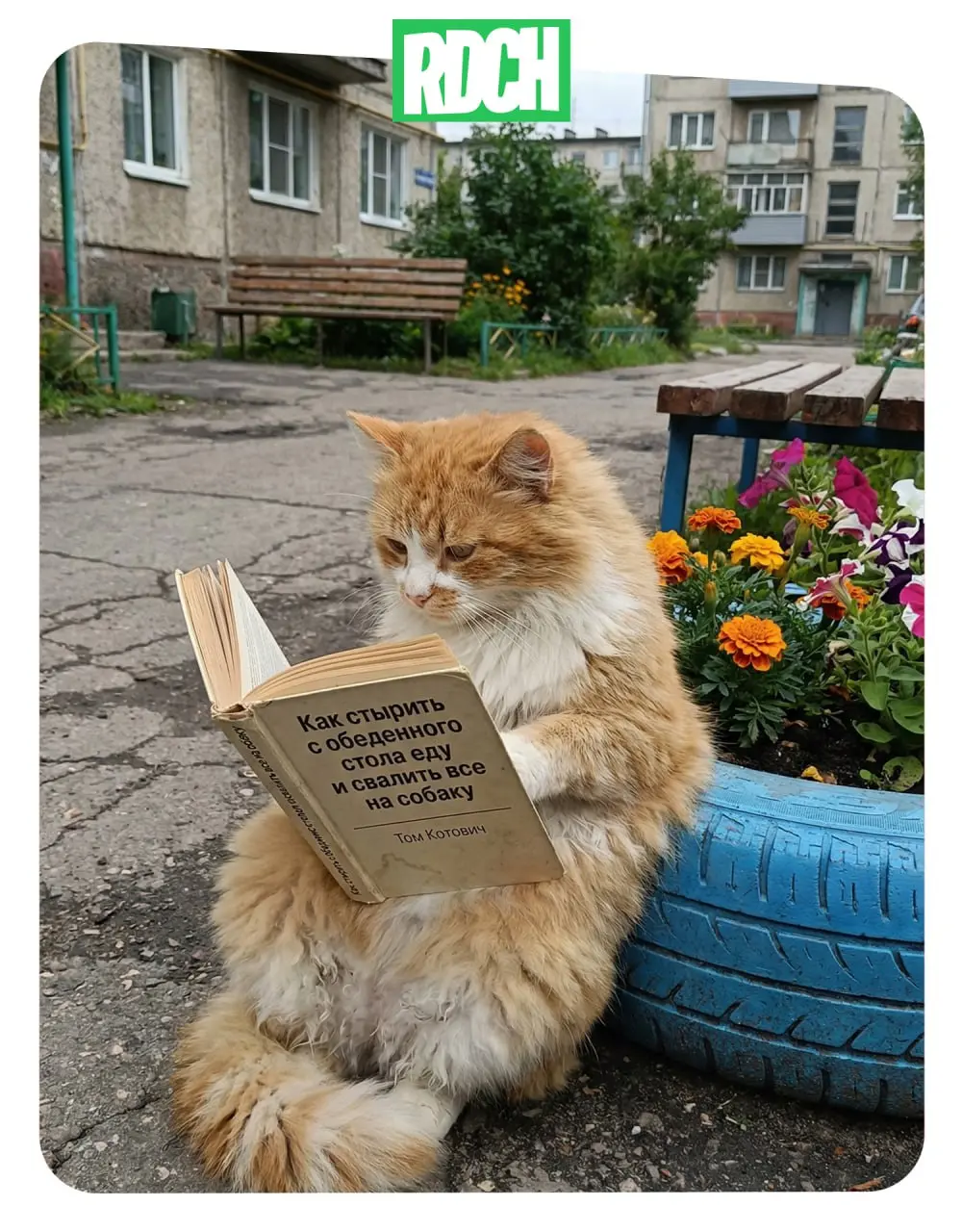 В 90% бизнес-литературы одну простую мысль размазывают на 300 страниц воды. Читать такое ради галочки — пустая трата времени.
Мы в Редаче ценим свое время (и ваше) | Сетка — социальная сеть от hh.ru