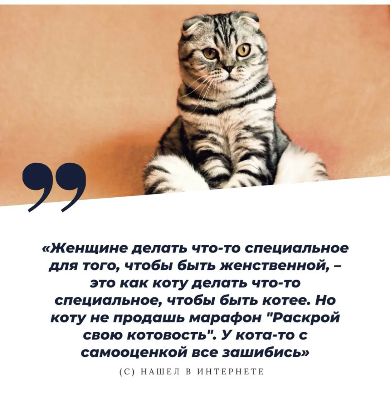 Коты идеальны 😂
От любимого клиента Елены ❤️
#Юмор@poldner #Коты@poldner | Сетка — социальная сеть от hh.ru