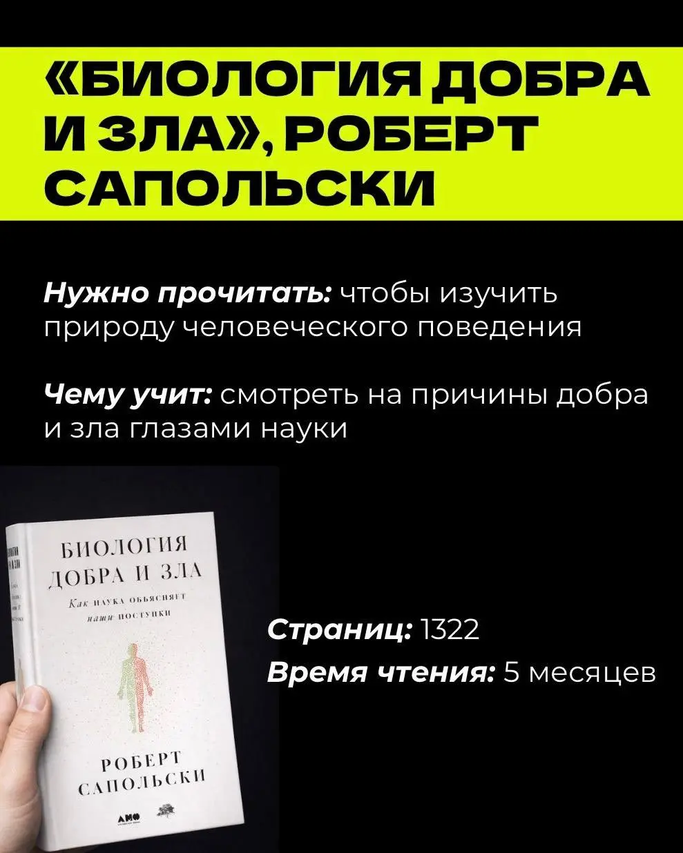 Моя рекомендация книг, которые стоит прочитать в 2026 году. Большая часть мной прочитана, и есть новинки, которые и себе добавила к прочтению #книги | Сетка — социальная сеть от hh.ru
