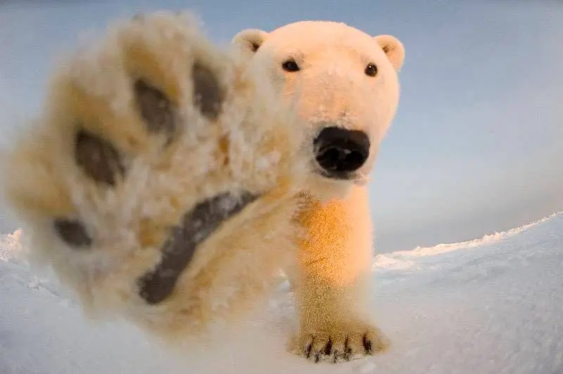 🐻‍❄️В Зоопарке пройдёт белая вечеринка, скидка 50% на билеты
27 февраля 9:00-17:00
В честь дня белого медведя все, кто придёт в белой одежде, получат 50% скидку на билеты | Сетка — социальная сеть от hh.ru