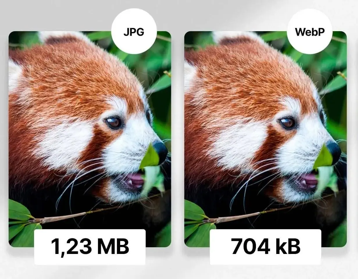 Пиксель за пикселем: путешествие сквозь форматы изображений | Сетка — социальная сеть от hh.ru