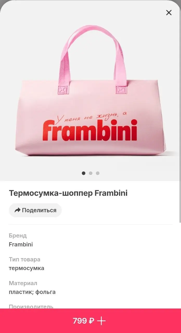 В Самокате появились термосумки от производителя мороженого Frambini! Несмотря на погоду, сервис уже готовится к лету | Сетка — социальная сеть от hh.ru