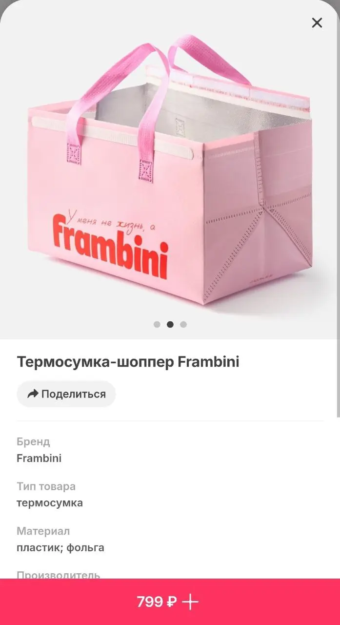 В Самокате появились термосумки от производителя мороженого Frambini! Несмотря на погоду, сервис уже готовится к лету | Сетка — социальная сеть от hh.ru