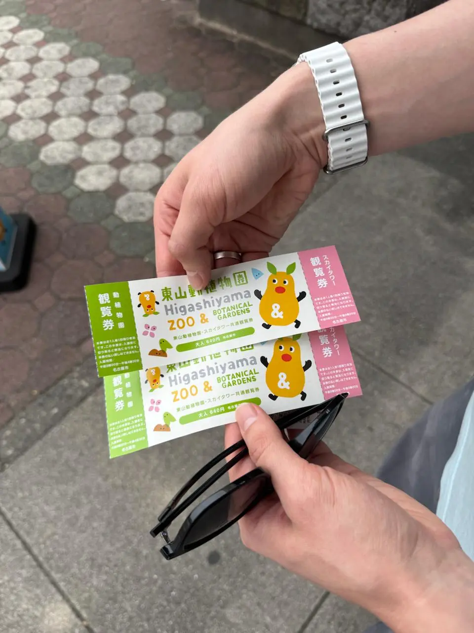 🇯🇵Что делать в Нагое?
Музей Тойоты? Шоппинг? Может, но в следующий раз! Всё меркнет, если я вижу в городе хороший зоопарк! Особенно, если зоопарк соответствует всем требованиям | Сетка — социальная сеть от hh.ru